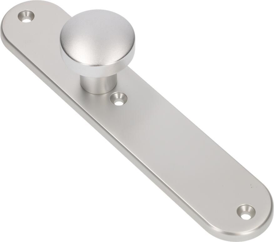AMI Knop 169 50 Vast Langschild 250 50 1 8 Blind R6 5 F1 323980