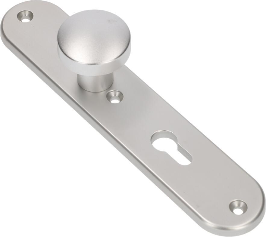 AMI Knop 169 50 Vast Langschild 250 50 8 1 Profielcilinder 55 R6 5 F1 323984