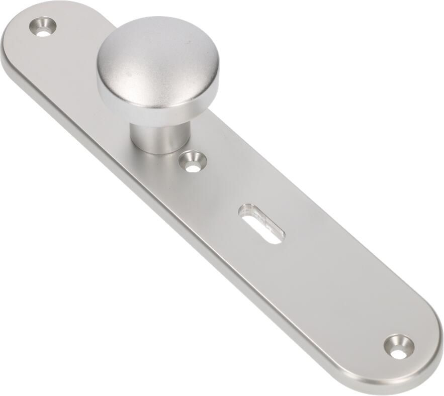 AMI Knop 169 50 Vast Langschild 250 50 8 1 Sl 56 R6 5 F1 323982