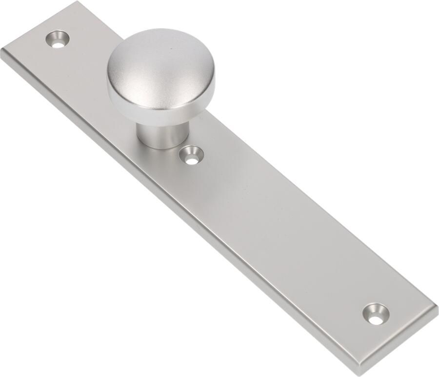 AMI Knop 169 50 Vast Langschild 251 50 8 Blind R6 5 F1 323960