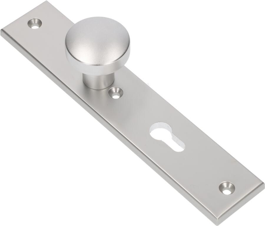 AMI Knop 169 50 Vast Langschild 251 50 8 Profielcilinder 72 R6 5 F1 323966