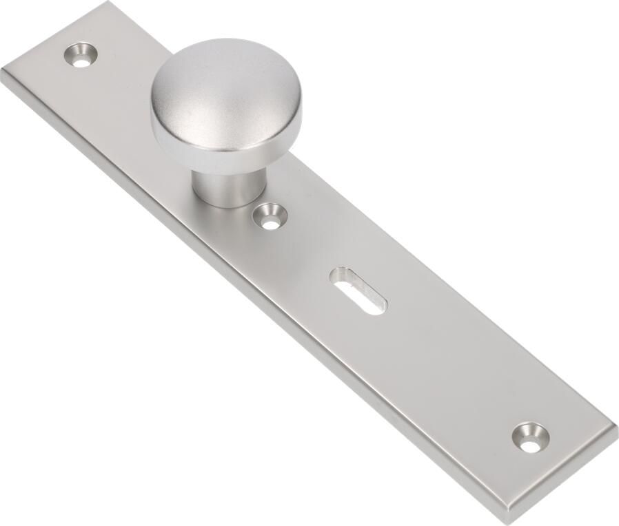 AMI Knop 169 50 Vast Langschild 251 50 8 Sl 56 R6 5 F1 323962