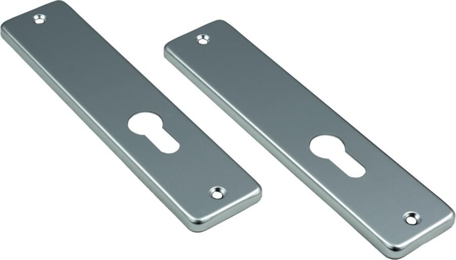 AMI Kortschild 165 4 RH Zkrg Profielcilinder 55 F-1 211043
