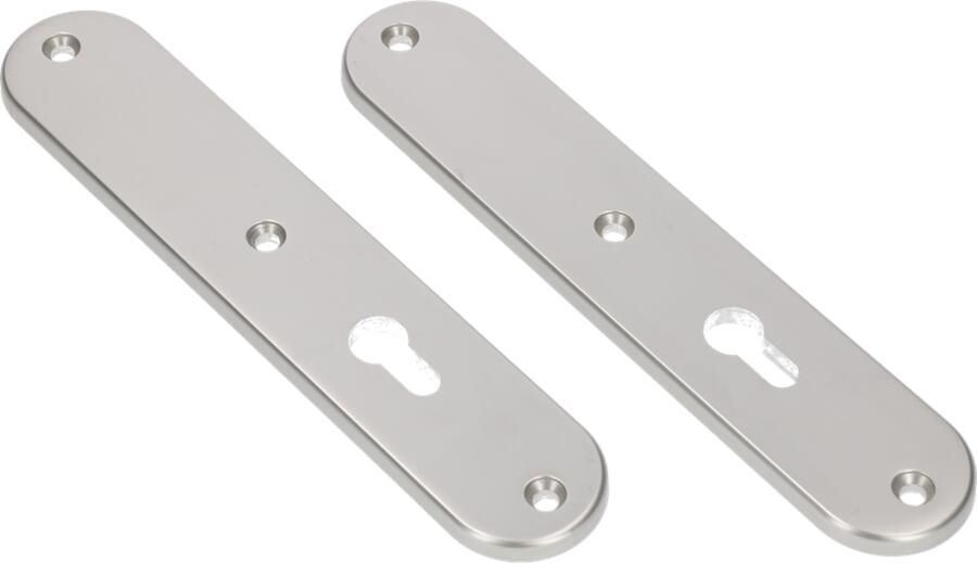 AMI Langschild 250 50 8 1 Zkrg Profielcilinder 72 F-1 R6 5 R7 3 215346