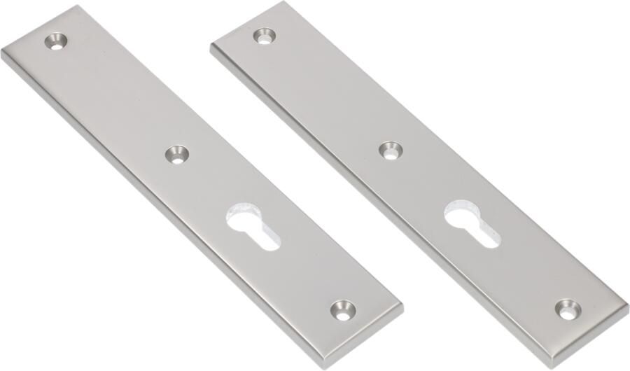 AMI Langschild 251 50 8 Zkrg Profielcilinder 72 F-1 R6 5 R7 3 215146
