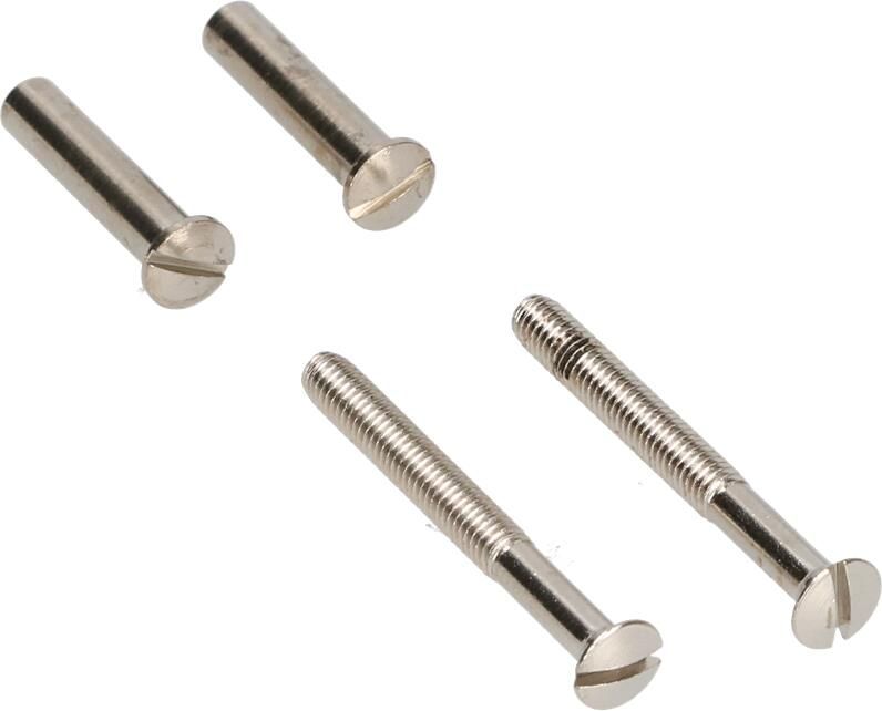 AMI Patentbout Compleet M4*45 Schroef + Huls Verpakt Per 10 In Zakje 900116