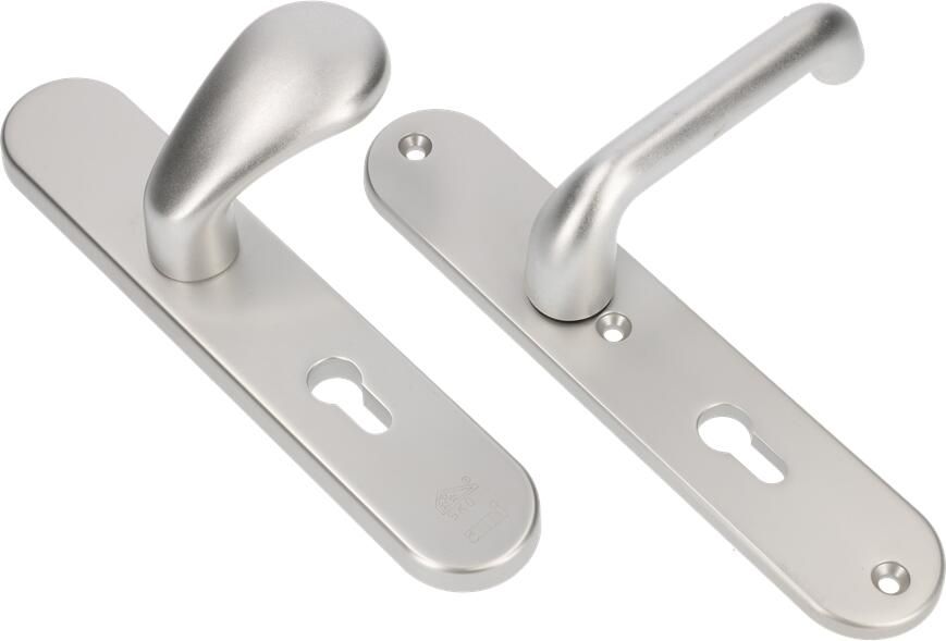 AMI Veiligheidsbeslag Knop 173 250 50 1 Buiten en Binnen Profielcilinder 72 386 Rotaveer F1 Deurdikte 53 57 Mm 689923