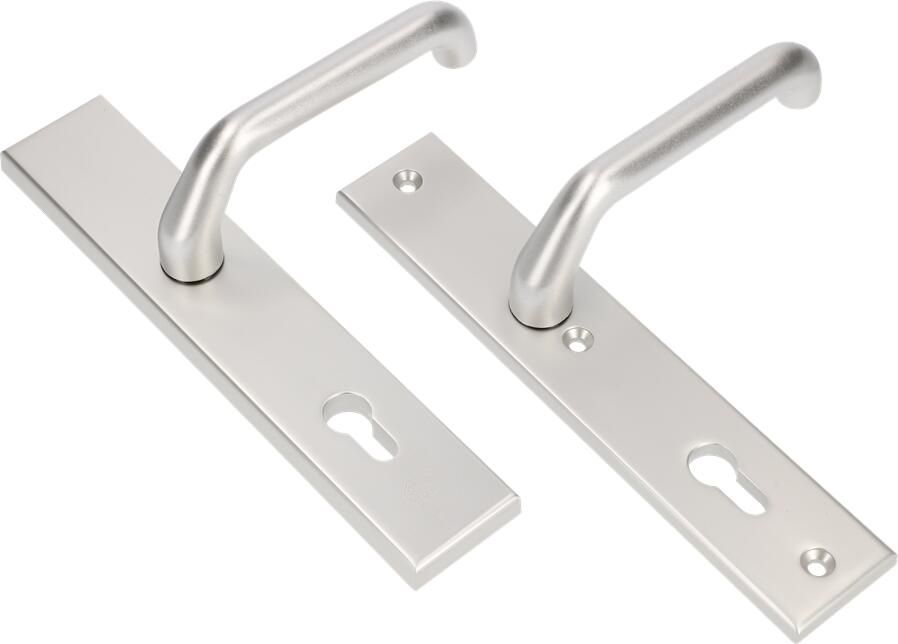 AMI Veiligheidsbeslag 356 Vastdraaibaar 251 50 Buiten en Binnen Profielcilinder 72 F1 Deurdikte 38 42 Mm 803150