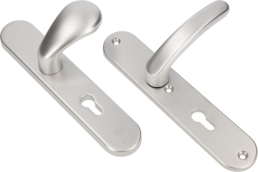 AMI Veiligheidsbeslag Knop 173 250 50 1 Buiten en Binnen Profielcilinder 72 378 Rotaveer F1 Deurdikte 38 42 Mm 689911