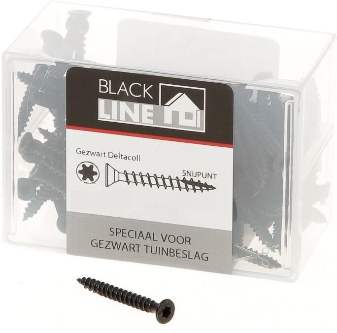 Blackline Tuinbeslagschroef Ar-Coating Ovk Zwarte Kop Torx TX30 6.0X40 | 30 stuks 6904.30.86040 - Foto 6
