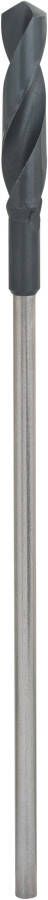 Bosch Accessoires Bekistings- en installatieboren 20 x 400 mm d 10 mm 1st 2608596341