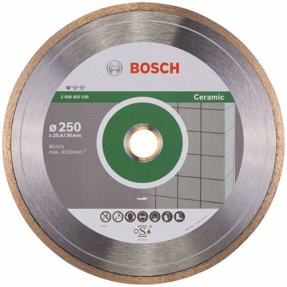Bosch Accessoires Diamantdoorslijpschijf Standard for Ceramic 250 x 30+25 40 x 1 6 x 7 mm 1st 2608602539