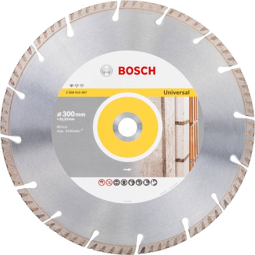 Bosch Accessoires Diamantdoorslijpschijf | Standard for Universal | 300X22 23 2608615067