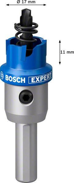 Bosch Accessoires EXPERT Sheet Metal | Gatzaag | 17 mm 2608901400