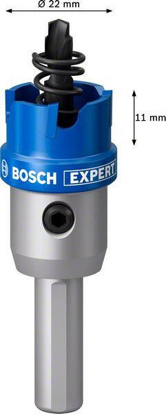 Bosch Accessoires EXPERT Sheet Metal | Gatzaag | 22 mm 2608901405