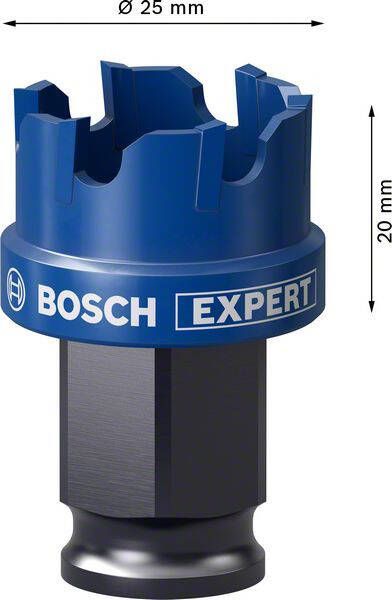 Bosch Accessoires Expert Sheet Metal gatzaag 25 x 40 mm 1 stuk(s) 2608900494