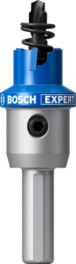 Bosch Accessoires EXPERT Sheet Metal Gatzaag met adapter | 14 x 5 mm 2608901970