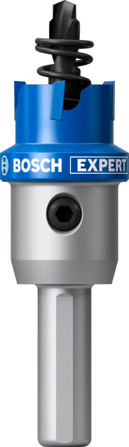 Bosch Accessoires EXPERT Sheet Metal Gatzaag met adapter | 19 x 5 mm 2608901975