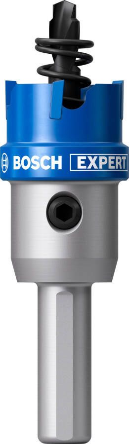 Bosch Accessoires EXPERT Sheet Metal Gatzaag met adapter | 20 x 5 mm 2608901976