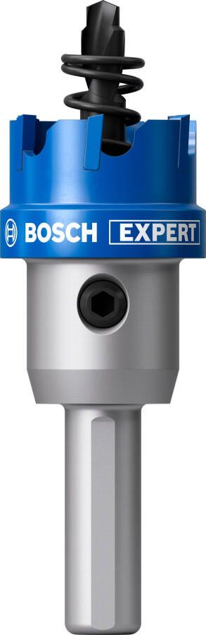 Bosch Accessoires EXPERT Sheet Metal Gatzaag met adapter | 25 x 5 mm 2608901981