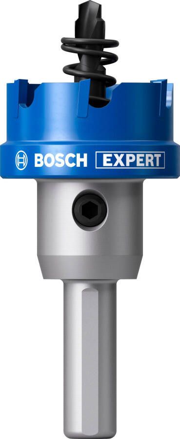 Bosch Accessoires EXPERT Sheet Metal Gatzaag met adapter | 31 x 5 mm 2608901987