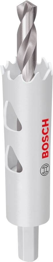Bosch Accessoires EXPERT Sheet Metal-gatzaag met as | 19 x 40 mm 2608594510