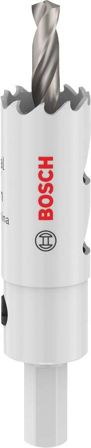 Bosch Accessoires EXPERT Sheet Metal-gatzaag met as | 20 x 40 mm 2608594511