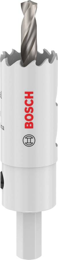Bosch Accessoires EXPERT Sheet Metal-gatzaag met as | 22 x 40 mm 2608594512