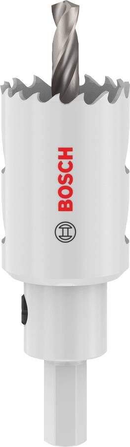 Bosch Accessoires EXPERT Sheet Metal-gatzaag met as | 29 x 40 mm 2608594514