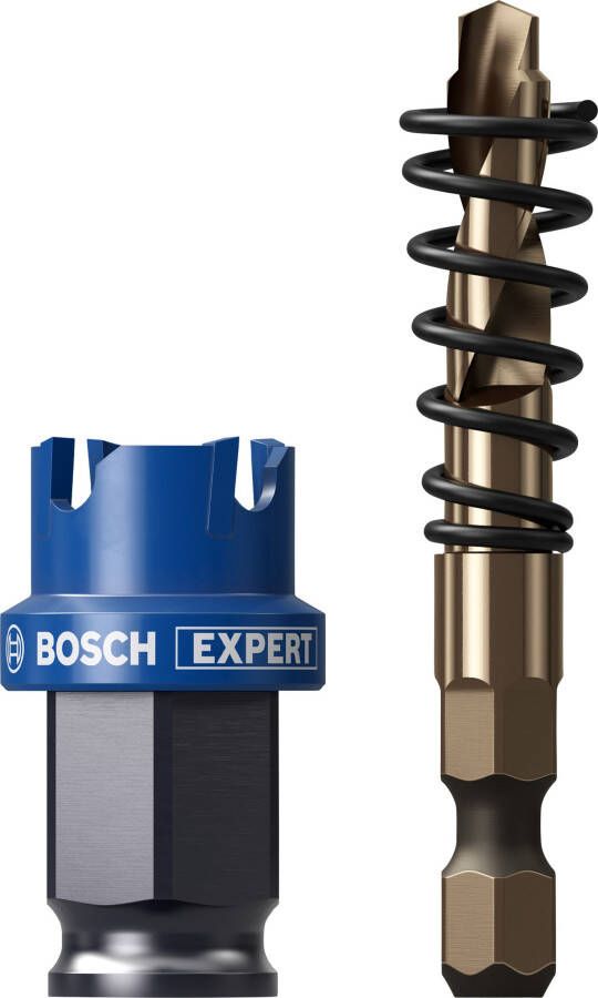 Bosch Accessoires EXPERT Sheet Metal Power Change Plus Gatzaagset | 21 x 5 mm 2608901953