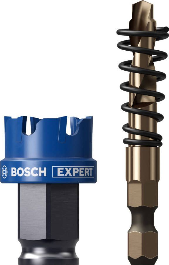 Bosch Accessoires EXPERT Sheet Metal Power Change Plus Gatzaagset | 27 x 5 mm 2608901956
