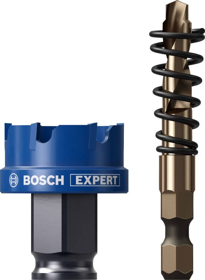 Bosch Accessoires EXPERT Sheet Metal Power Change Plus Gatzaagset | 30 x 5 mm 2608901957