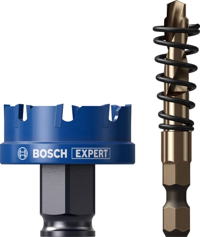 Bosch Accessoires EXPERT Sheet Metal Power Change Plus Gatzaagset | 40 x 5 mm 2608901960