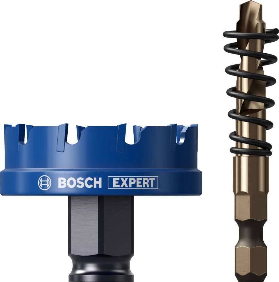 Bosch Accessoires EXPERT Sheet Metal Power Change Plus Gatzaagset | 51 x 5 mm 2608901961