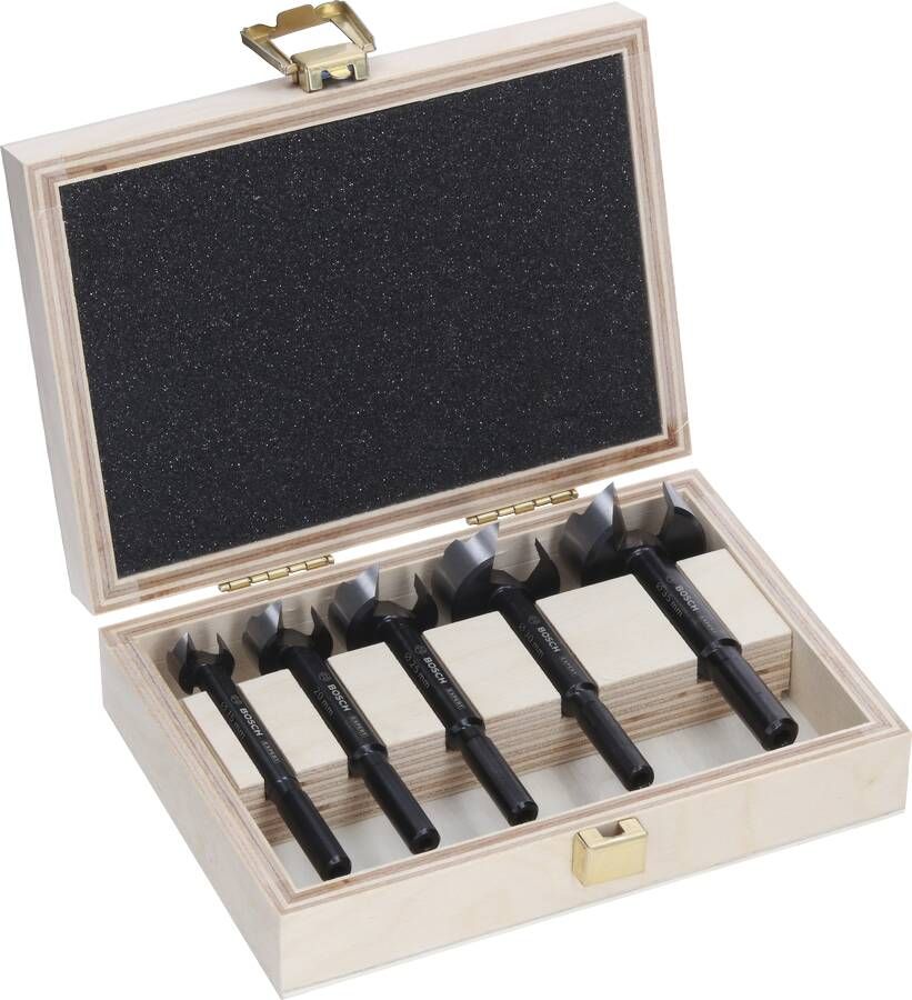 Bosch Accessoires EXPERT Wood Forstner Borenset | 5 stuks 2608901843