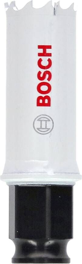 Bosch Accessoires Gatzaag | Power-Change | Wood&Metal | 111 mm 2608594242 - Foto 9