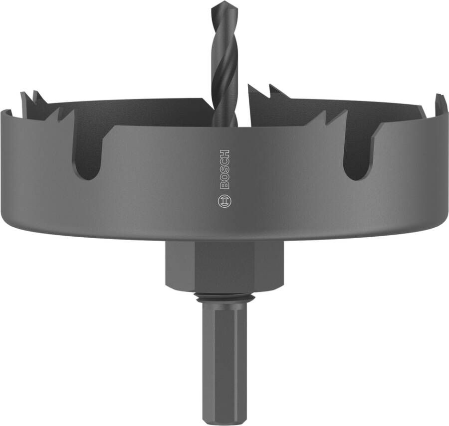 Bosch Accessoires Gatzaagset met as voor hout en gipsplaat | 100 x 27 mm 2608594502