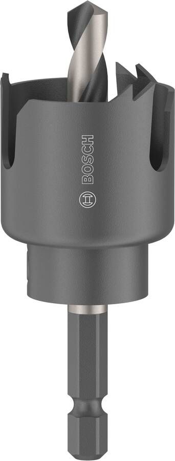 Bosch Accessoires Gatzaagset met as voor hout en gipsplaat | 30 x 27 mm 2608594491
