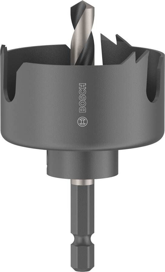 Bosch Accessoires Gatzaagset met as voor hout en gipsplaat | 48 x 27 mm 2608594493