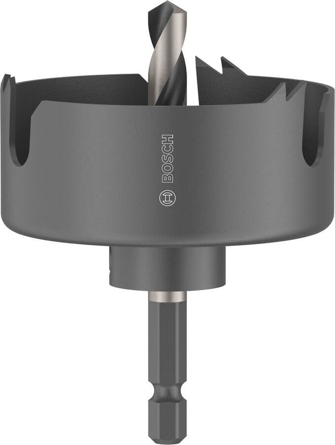 Bosch Accessoires Gatzaagset met as voor hout en gipsplaat | 60 x 27 mm 2608594495