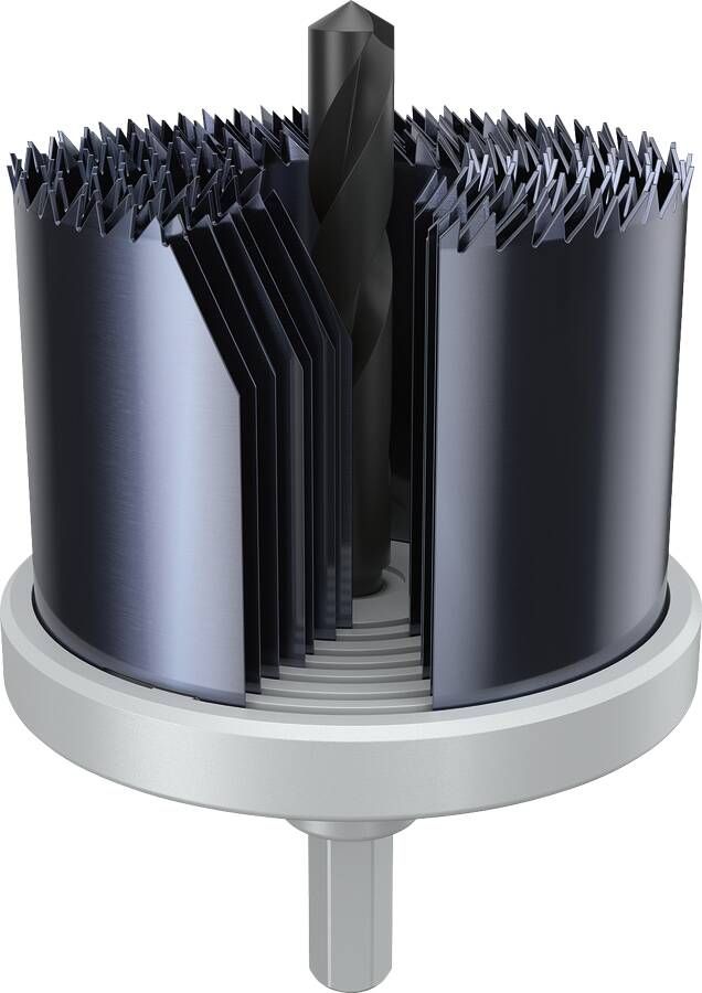 Bosch Accessoires Gatzaagset voor hout en gipsplaat | 26; 32; 39; 45; 51; 58; 64 x 44 mm 2608594508
