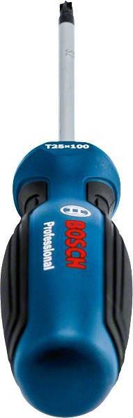 Bosch Accessoires Schroevendraaier TX 25x100 1600A01V0D