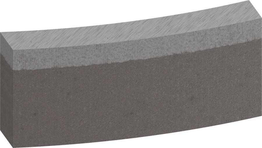 Bosch Accessoires Segmenten voor PRO boorkroon voor nat boren | 122 x 10 mm | 1 4 inch UNC | 10-delig 2608601753
