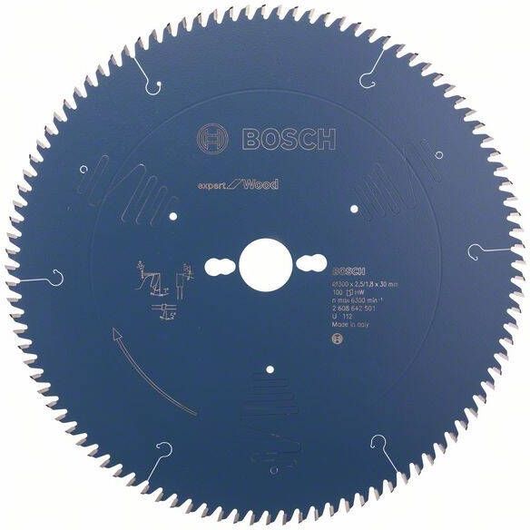 Bosch Accessoires Cirkelzaagblad expert for Wood 300x30x2.5 1.8x100 T 2608642501