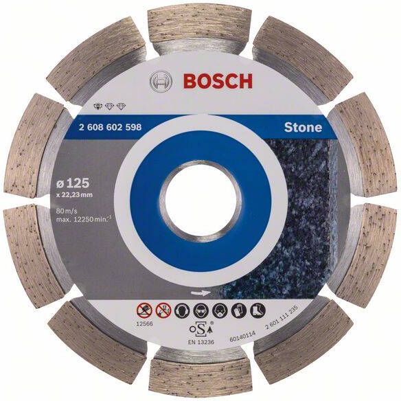 Bosch Accessoires Diamantdoorslijpschijf Standard for Stone 125 x 22 23 x 1 6 x 10 mm 1st 2608602598