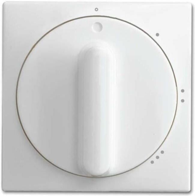 Busch Jaeger WIT afdekplaat voor 3-standen schakelaar 4694095