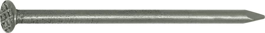 Connex Nagel Platte Kop 1.6X30 750G Fe KK1011630