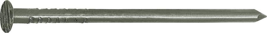 Connex Nagel Platte Kop 2.5X55 750G Fe KK1012555