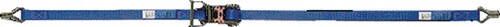 Dolezych Sjorband | lengte 6 m | breedte 25 mm | met ratel + punthaak | LC omdr. 1000 daN | 1 stuk 42252032