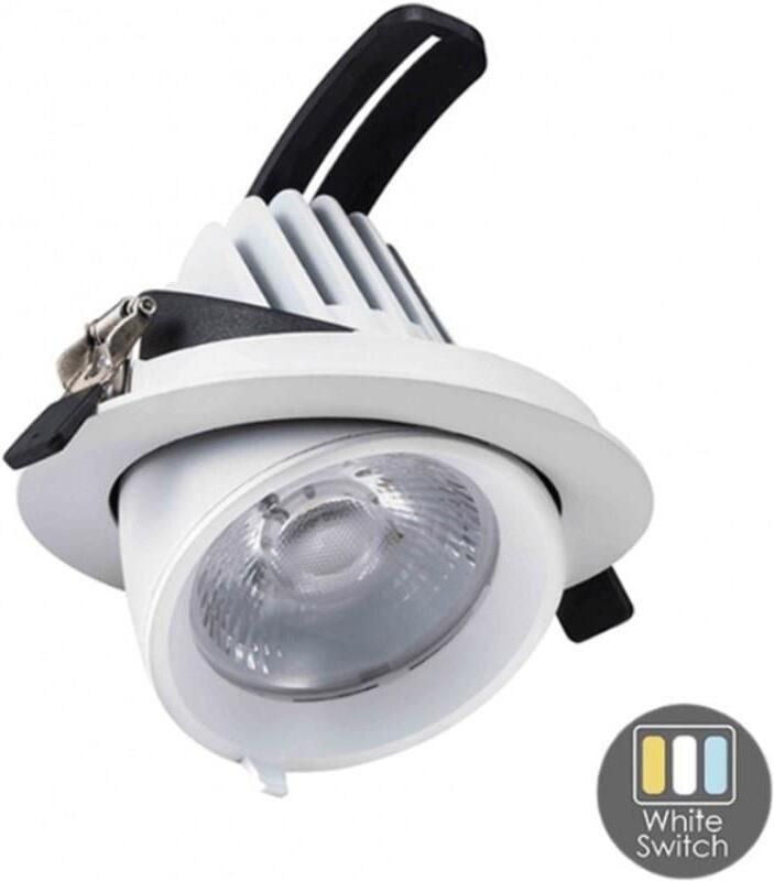 Enzo CCT LED downlighter wit 30W banaan model 45gr. Tri-White LED2380